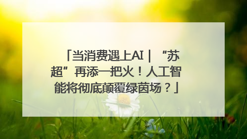 当消费遇上AI｜“苏超”再添一把火！人工智能将彻底颠覆绿茵场？