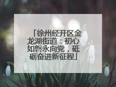 徐州经开区金龙湖街道：初心如磐永向党，砥砺奋进新征程