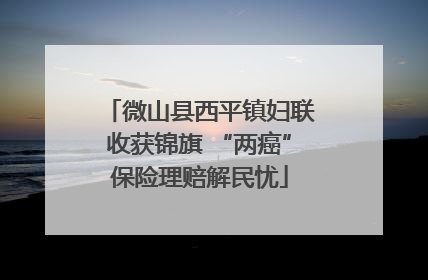 微山县西平镇妇联收获锦旗 “两癌”保险理赔解民忧