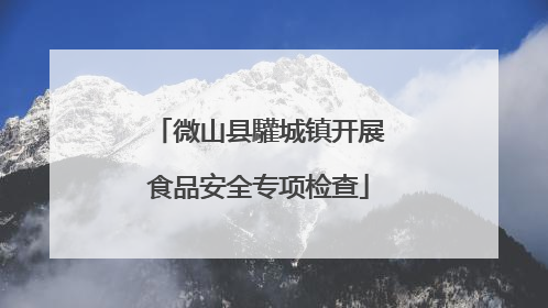微山县驩城镇开展食品安全专项检查