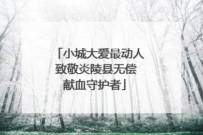小城大爱最动人 致敬炎陵县无偿献血守护者