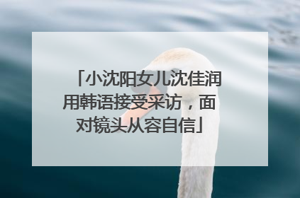 小沈阳女儿沈佳润用韩语接受采访，面对镜头从容自信