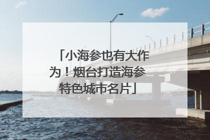 小海参也有大作为！烟台打造海参特色城市名片