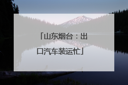山东烟台：出口汽车装运忙