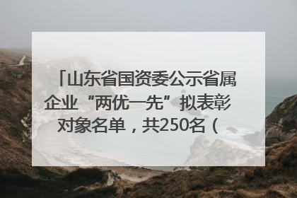 山东省国资委公示省属企业“两优一先”拟表彰对象名单，共250名（个）党员和党组织