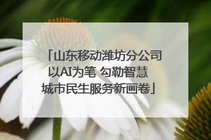 山东移动潍坊分公司以AI为笔 勾勒智慧城市民生服务新画卷