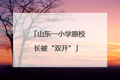 山东一小学原校长被“双开”