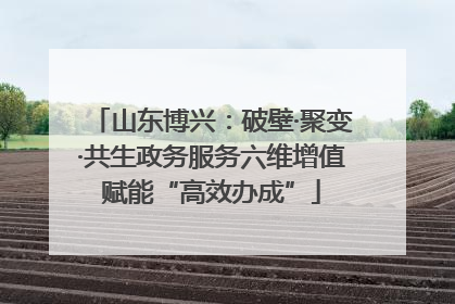 山东博兴：破壁·聚变·共生政务服务六维增值赋能“高效办成”