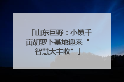 山东巨野：小镇千亩胡萝卜基地迎来“智慧大丰收”
