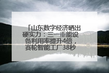 山东数字经济晒出硬实力:三一重能设备利用率提升4倍,赛轮智能工厂38秒生产一条轮胎