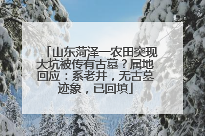 山东菏泽一农田突现大坑被传有古墓？属地回应：系老井，无古墓迹象，已回填