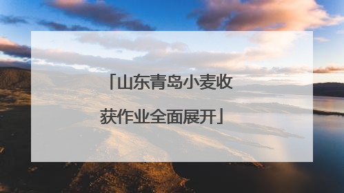 山东青岛小麦收获作业全面展开