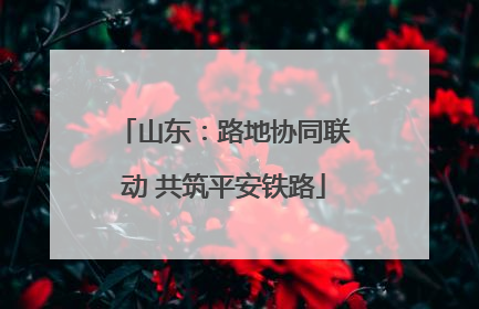山东：路地协同联动 共筑平安铁路
