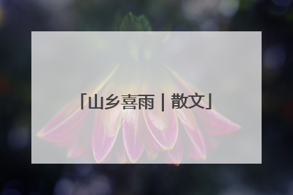 山乡喜雨｜散文