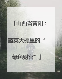 山西省昔阳：蔬菜大棚里的“绿色财富”