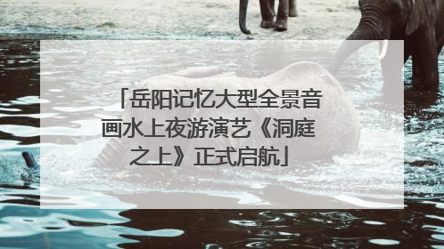 岳阳记忆大型全景音画水上夜游演艺《洞庭之上》正式启航
