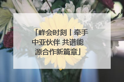 峰会时刻丨牵手中亚伙伴 共谱能源合作新篇章