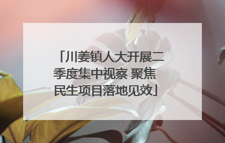 川姜镇人大开展二季度集中视察 聚焦民生项目落地见效