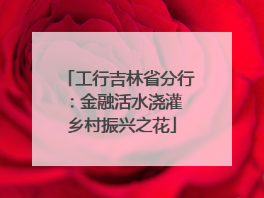 工行吉林省分行：金融活水浇灌 乡村振兴之花