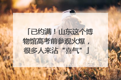 已约满！山东这个博物馆高考前参观火爆，很多人来沾“喜气”