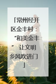常州经开区金丰村：“和美金丰” 让文明乡风吹进门