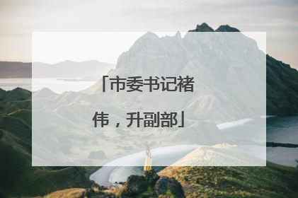 市委书记褚伟，升副部