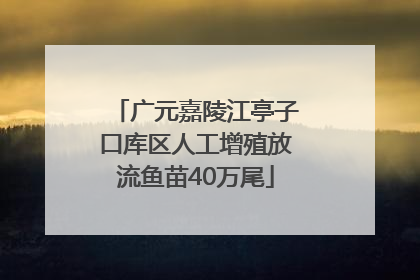 广元嘉陵江亭子口库区人工增殖放流鱼苗40万尾