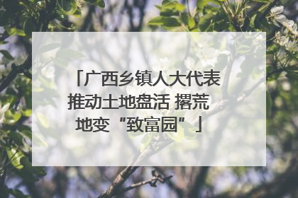 广西乡镇人大代表推动土地盘活 撂荒地变“致富园”