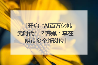 开启“AI百万亿韩元时代”？韩媒：李在明设多个新岗位