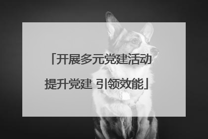 开展多元党建活动 提升党建 引领效能