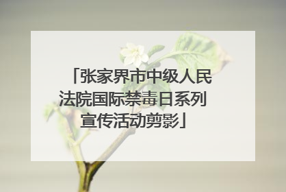 张家界市中级人民法院国际禁毒日系列宣传活动剪影