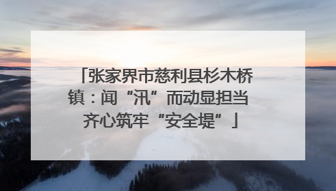 张家界市慈利县杉木桥镇：闻“汛”而动显担当 齐心筑牢“安全堤”