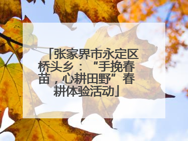 张家界市永定区桥头乡：“手挽春苗，心耕田野”春耕体验活动