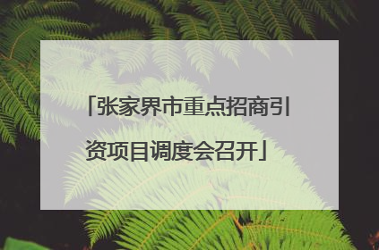 张家界市重点招商引资项目调度会召开