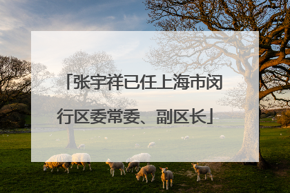 张宇祥已任上海市闵行区委常委、副区长