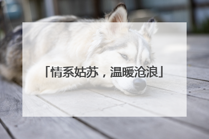 情系姑苏，温暖沧浪