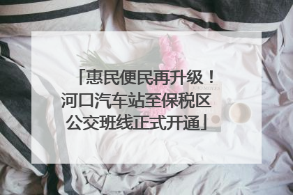 惠民便民再升级！河口汽车站至保税区公交班线正式开通