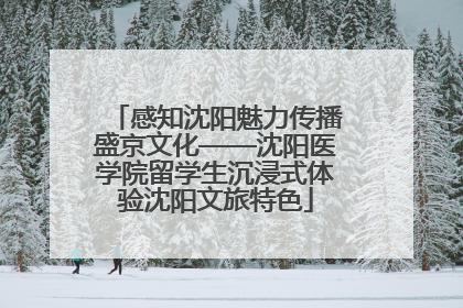 感知沈阳魅力传播盛京文化——沈阳医学院留学生沉浸式体验沈阳文旅特色