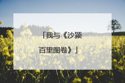 我与《沙颍百里图卷》