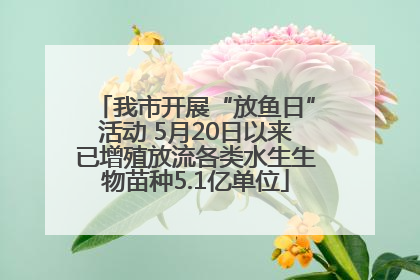 我市开展“放鱼日”活动 5月20日以来已增殖放流各类水生生物苗种5.1亿单位