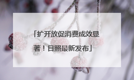 扩开放促消费成效显著！日照最新发布