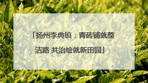 扬州李典镇：青砖铺就整洁路 共治绘就新田园