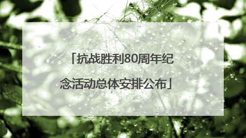 抗战胜利80周年纪念活动总体安排公布