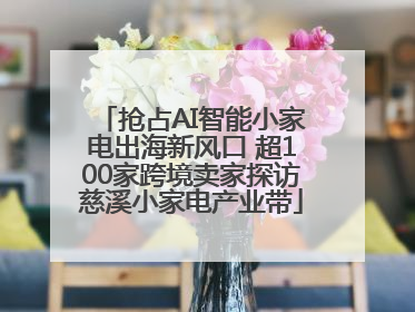 抢占AI智能小家电出海新风口 超100家跨境卖家探访慈溪小家电产业带