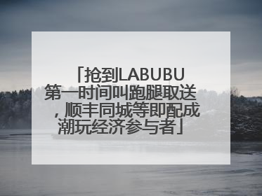 抢到LABUBU第一时间叫跑腿取送，顺丰同城等即配成潮玩经济参与者
