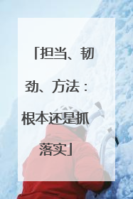 担当、韧劲、方法：根本还是抓落实