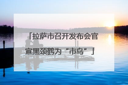 拉萨市召开发布会官宣黑颈鹤为“市鸟”