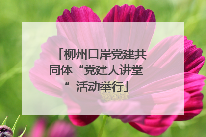 柳州口岸党建共同体“党建大讲堂”活动举行