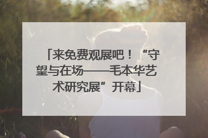 来免费观展吧！“守望与在场——毛本华艺术研究展”开幕