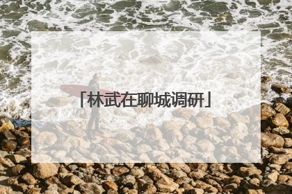 林武在聊城调研